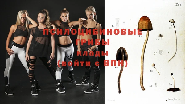 прущие грибы Баксан