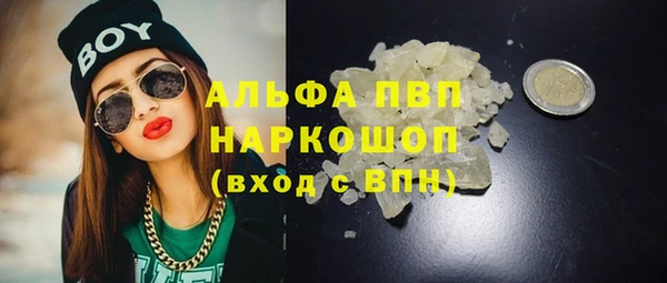 прущие грибы Баксан