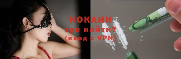 прущие грибы Баксан